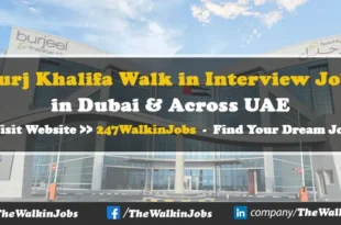 Burj Khalifa Walk in Interview