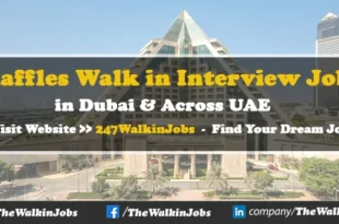 Raffles Walk in interview Jobs