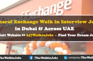 Sharaf Exchange Walk in interview Jobs