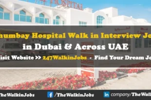 Thumbay Hospital Walk in interview