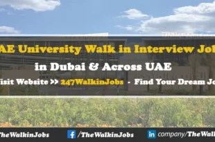 UAE University Walk in interview Jobs